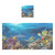 Fish Bath Towel Set Cotton Bath Towels for Bathroom Towels Bathroom Sets Clearance 1 Bath Towel 1 Washcloth Soft Absorbent Bath Towel for Spa Beach