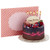 Hallmark Pop Up Birthday Greeting Card (Chocolate Cake)