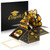 3D Graduation Pop up Card, Class of 2023 Congrats Grad Card, Congratulation Greeting Card with Envelope for Graduation, Preschool, High School, College, University Masters and PHD Graduates (Gold)