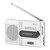 Portable Shortwave Radios, BC-R21 Universal Portable AM/FM Mini Radio Stereo Speakers Receiver Music Player, with Built-in Speaker and Telescopic Antenna