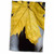 3dRose Danita Delimont - Trees - Sugar Maple, Fall, Near Freeport, Maine - Towels (twl-205267-1)