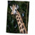 3dRose Danita Delimont - Animals - Giraffe at Zoo. - Towels (twl-231764-1)