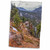 3dRose Boehm Photography Landscape - South Cheyenne Canyon View - Towels (twl-239378-1) 3dRose Boehm Photography Landscape - South Cheyenne Canyon View - Towels (twl-239378-1)