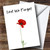 White Poppy Personalized Rememberance Day Greetings Greetings Card