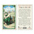 Prayer to Saint Luke.Laminated 2-Sided Holy Card (3 Cards per Order)