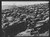 HistoricalFindings Photo: Cook County,Chicago,Illinois,IL,Farm Security Administration,1941,FSA,2