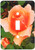 3dRose lsp_715_1 Coppery-Peach HT Rose Single Toggle Switch