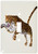 3dRose lsp_34491_1 Leopard Single Toggle Switch