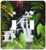 3dRose lsp_46726_2 Waterfall Wilderness Toggle Switch