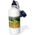 3dRose wb_89985_1"Alturas Lake, Sawtooth NRA, Idaho US13 DFR0336 David R. Frazier" Sports Water Bottle, 21 oz, White