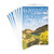 Hallmark Pack of Graduation Cards, Wonderful Future (8 Cards with Envelopes)