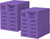 Auction Tickets - 1000 Sheets - 10 Numbers per Sheet (Purple)