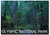 REFRIGERATOR MAGNET HOH Rain Forest Olympic National Park Travel Refrigerator Magnet Size 2.5 x 3.5, Multicolor