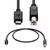 NC XQIN USB Type C Printer Cable USB 2.0 Type C (USB-C) to Type B (USB-B) Printer Scanner Cable Black (10Ft)