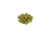 Jarrylo Pellet Hops 1 lb