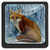 Fox Painting Pack of 3 Drawer Knob Pull Handle Cabinet Knobs Crystal Glass Cupboard Knobs with Screws