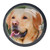 Idealiy Labrador Retriever Painting Cabinet Door Knobs Handles Pulls Cupboard Handles Drawer Wardrobe 4pcs