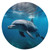 Round Rugs Dolphins in The Ocean Area Rug 24 in Flannel Bath Rug Soft Bathroom Mat Non-Slip Carpet for Living Room Decor
