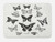 Ambesonne Butterfly Bath Mat, Spring Arrangement of Hand Drawn Butterflies Modern Realistic Art, Plush Bathroom Decor Mat with Non Slip Backing, 29.5" X 17.5", Black and White