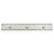 Azeeda 'Rainbow' 30cm (12 Inch) White Plastic Ruler (RL00070476)