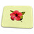 3dRose A Beautiful Red Hibiscus Flower Isolated - Dish Drying Mats (ddm-356564-1)