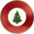 Amscan Classic Christmas Tree Metallic Paper Plates, 8 Ct. | Party Tableware