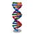 HMANE DNA Models Double Helix Model Components Science Educational Teaching Instrument Toy