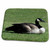 3dRose Canada Goose Resting on The Grass - Bathroom Bath Rug Mats (rug-18552-1)