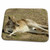 3dRose Eastern Grey Kangaroo, Queensland. AUSTRALIA-AU01... - Bathroom Bath Rug Mats (rug-72757-1)