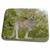 3dRose Eastern Grey Kangaroo, Queensland. AUSTRALIA-AU01... - Bathroom Bath Rug Mats (rug-72758-1)
