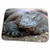 3dRose Indonesia, Sunda Archipelago, Komodo Dragon... - Bathroom Bath Rug Mats (rug-73174-1)