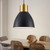 Industrial Pendant Light Fixtures, Vintage Pendant Lighting E26 E27 Base, Adjustable Hanging Light Fixtures, Farmhouse Pendant Lights Hanging Ceiling Lamp for Kitchen Island Dining Room (Black)