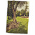 3dRose Boehm Photography Landscape - Old Tree and Fountain - Towels (twl-184040-1) 3dRose Boehm Photography Landscape - Old Tree and Fountain - Towels (twl-184040-1)