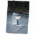3dRose Canada, Vancouver Island, Sydney. Killer Whale slaps its Tail. - Towels (twl-189233-1)