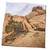 3dRose Boehm Photography Landscape - Juniper Tree at Jumbo Rocks - Towels (twl-203941-3)