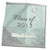 3dRose Class of 2013, Diplomas with Cap in The Air, Pastel Green - Towels (twl-99016-3)
