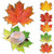 50 Pack Fall Placemats Paper Fall Table Mats Harvest Leaf Disposable Thanksgiving Paper Place Mats Autumn Maple Leaves Mats for Thanksgiving Fall Turkey Home Dining Table Party Decoration (Leaf Style)