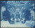 HistoricalFindings Photo: Willard Hotel Dining Room,Eating Areas,Plants,Trees,Tables,Washington DC,1901