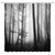 BNYARH Fall Forest Shower Curtain Horror Jungle Black and White Tree Heavy Foggy Misty Forests Abstract Gothic Dark Fantasy Night Nature Landscape Grey Bathroom Decor Curtains with Hook 70X70 Inch
