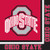 Creative Converting Ohio State Buckeyes Lunch Napkins, 20-Count