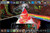 AQUARIUS Pink Floyd Dark Side Poster