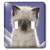 3dRose LLC lsp_21188_2 Siamese Kitten Double Toggle Switch