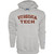 Blue 84 Men's Virginia Tech Hokies Hoodie Arched Grey, Grey, Large