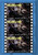 This Body Is Mine [DVD]