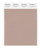 PANTONE SMART 16-1210X Color Swatch Card, Light Taupe
