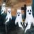 VOGVOG Halloween 4 Ghost Windsocks with Remote Control LED String Lights, Outdoor Halloween Hanging Decorations Battery Powered, Waterproof Ghosts, Cute Decorations for Halloween Party Yard Tree