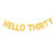 Hello Thirty Banner- Cheer to 30 Years Bunting -Gold Glitter Dirty 30-30th Birthday/Wedding Anniversary Party Decoration Hello Thirty Banner- Cheer to 30 Years Bunting -Gold Glitter Dirty 30-30th Birthday/Wedding Anniversary Party Decoration