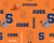 Syracuse Fleece Fabric-Syracuse University Fleece Blanket Fabric Sold by The Yard