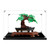 T-Club Acrylic Display Case for Lego 10281, Dustproof Clear Display Box Showcase for Lego 10281 Bonsai Tree(NOT Included The Model) (2MM)