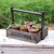 CTW Home Collection Seedling Pots Caddy